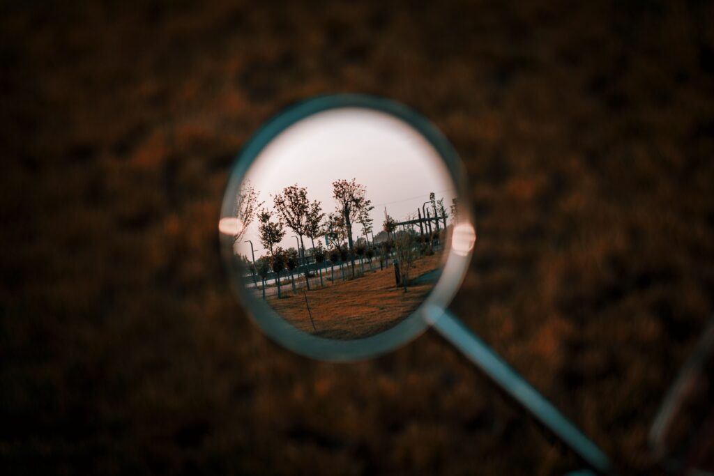 Artistic reflection of trees in park seen through round mirror during sunset. Unique perspective.