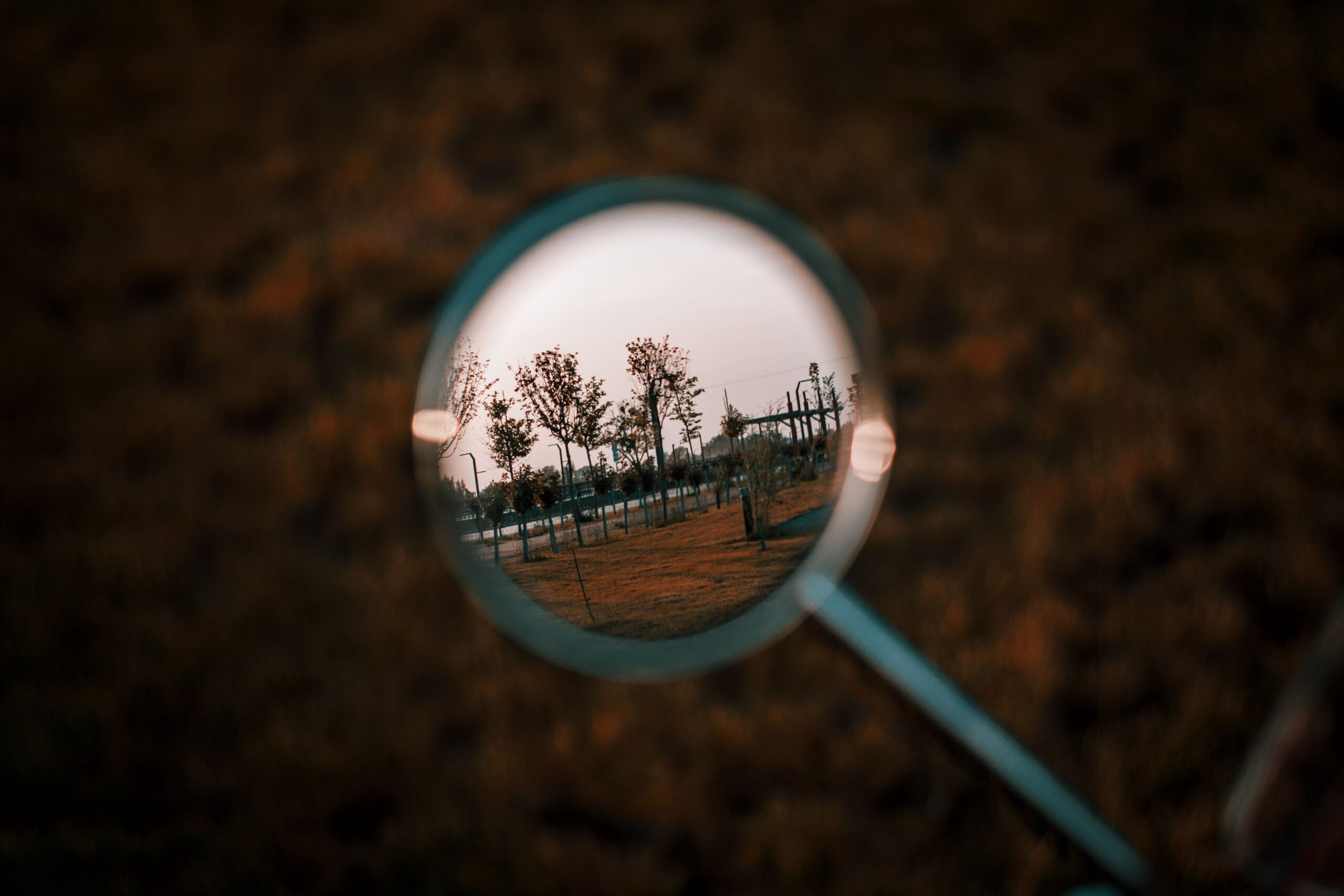 【保存版】無人インドアゴルフ開業ロードマップ!準備からオープンまでの全5ステップ Artistic reflection of trees in park seen through round mirror during sunset. Unique perspective.